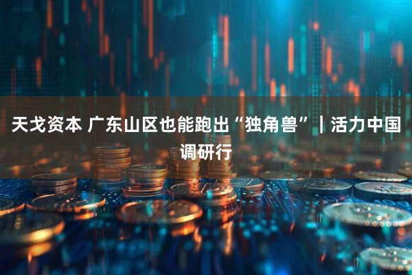 天戈资本 广东山区也能跑出“独角兽”｜活力中国调研行