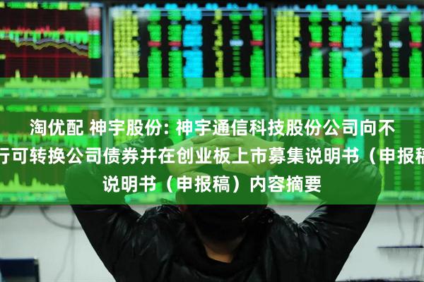 淘优配 神宇股份: 神宇通信科技股份公司向不特定对象发行可转换公司债券并在创业板上市募集说明书（申报稿）内容摘要
