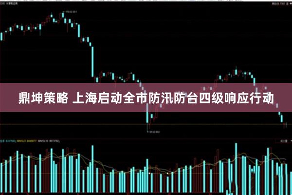 鼎坤策略 上海启动全市防汛防台四级响应行动